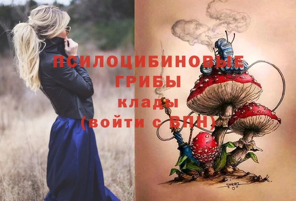 a pvp Зеленодольск