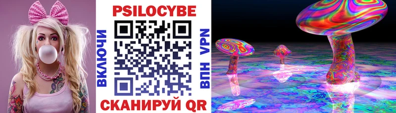 Купить закладки  Беломорск  Псилоцибиновые грибы Psilocybine cubensis 